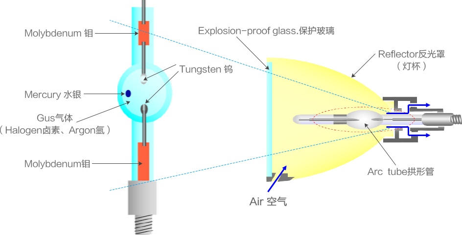 1578381959132612.png bulbStructure.png